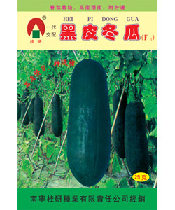 特选黑皮冬瓜