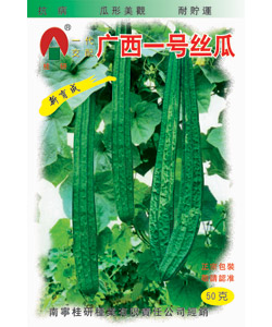 广西一号丝瓜