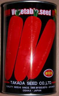 日本爱红6寸胡萝卜种子