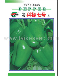 科椒七号