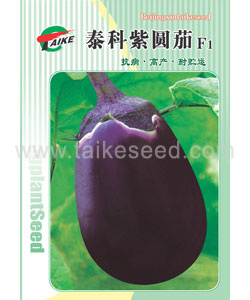泰科紫圆茄