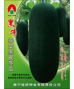 黑牛