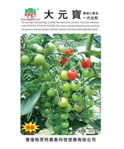 大元宝