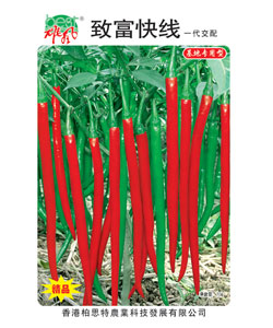 致富快线