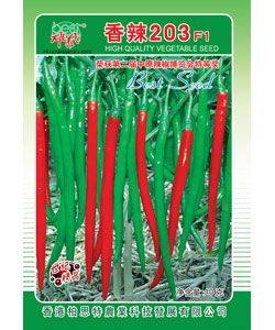 香辣203