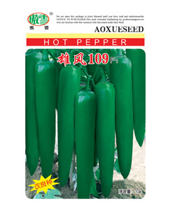 雄风109