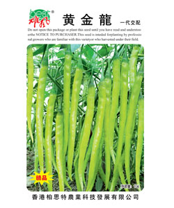 黄金龙