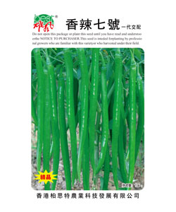 香辣七号
