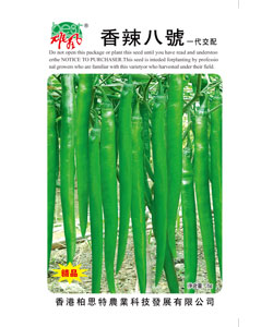 香辣八号