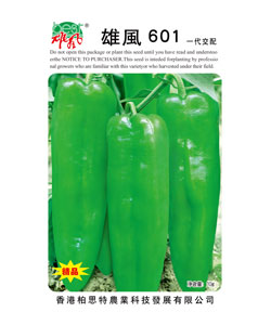 雄风601
