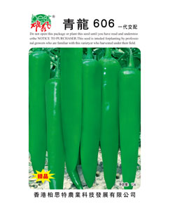 青龙606