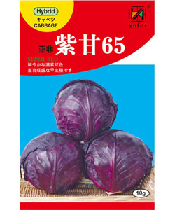 亚非紫甘65