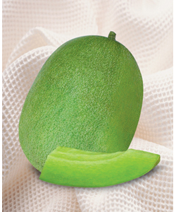 时时彩5星定胆做号工具 时时彩后二单式缩水软