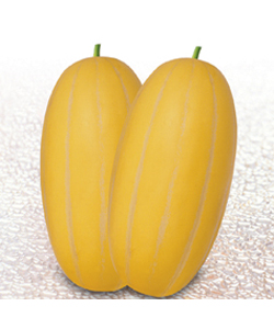 时时彩5星定胆做号工具 时时彩后二单式缩水软