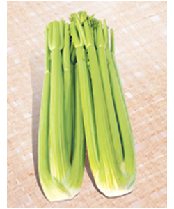 时时彩5星定胆做号工具 时时彩后二单式缩水软