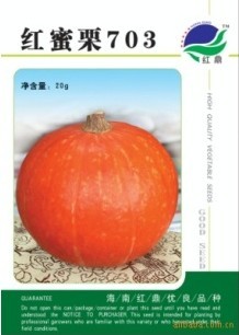 供应红南瓜种子－红蜜粟（703）
