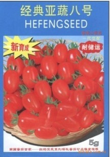 供应樱桃番茄种子－经典亚蔬8号