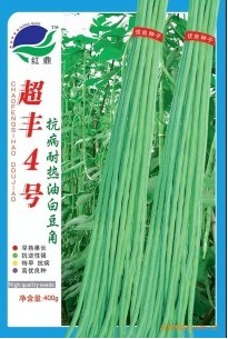 供应豆角种子－超丰4号豆角