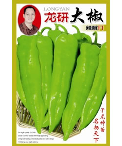 龙研大椒