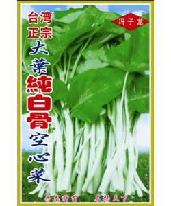 正宗台湾大叶纯白骨空心菜