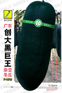 冬瓜種子:廣東創(chuàng)大黑巨王F-1618