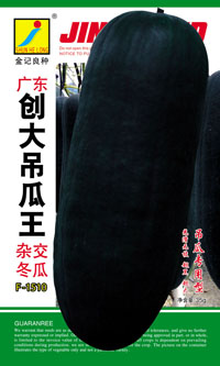 冬瓜種子:廣東創(chuàng)大吊瓜王F-1510