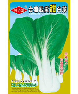 合浦匙羹甜白菜