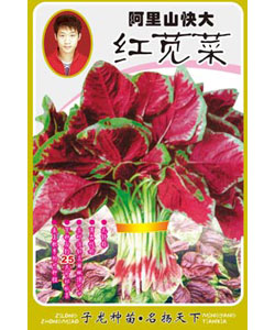 阿里山快大红苋菜
