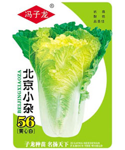 北京小杂56黄心白