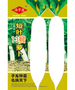 短叶13萝卜
