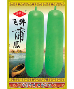 飞弹蒲瓜