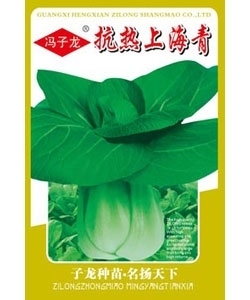 抗热上海青