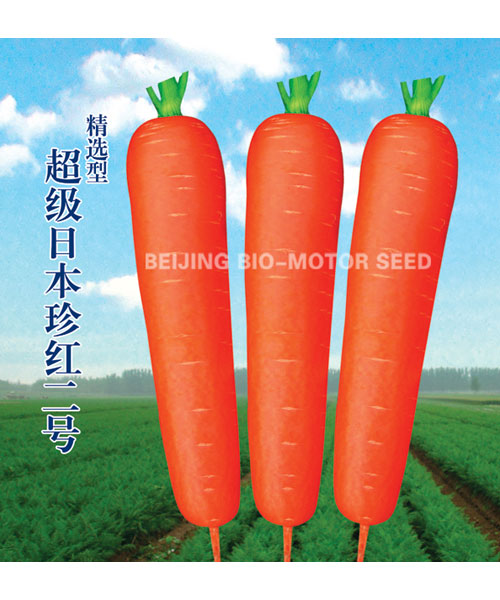 精选珍红二号