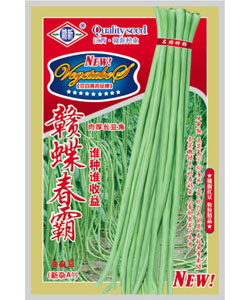 赣蝶春霸