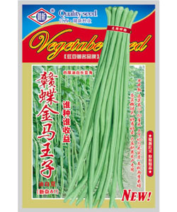 赣蝶金马王子