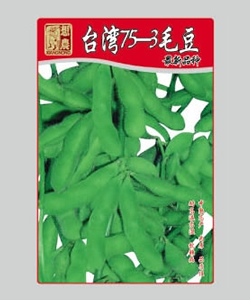 台湾75-3毛豆