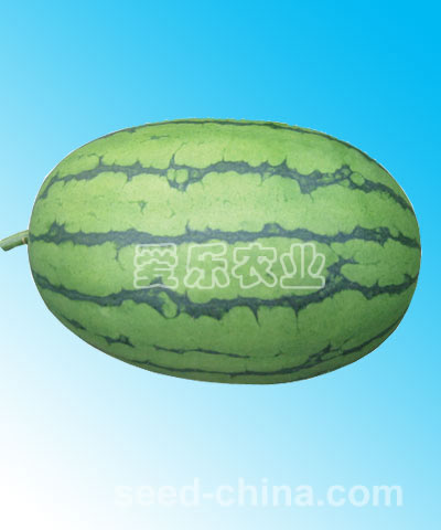 New Spring--small seeded watermelon