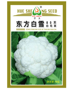 东方白雪80天花椰菜