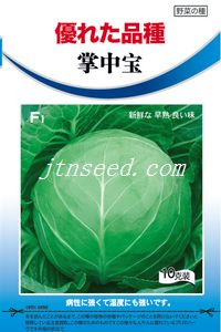掌中宝