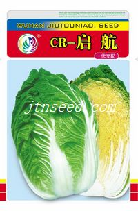 启航
