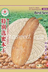 特别选蜜本南瓜
