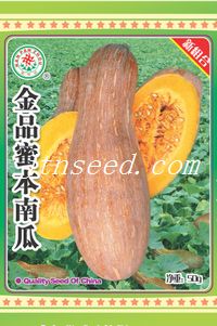 金品蜜本南瓜