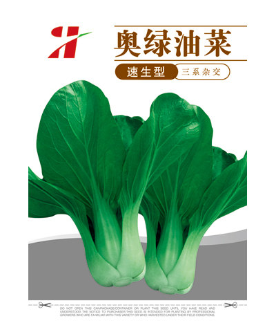 奥绿油菜