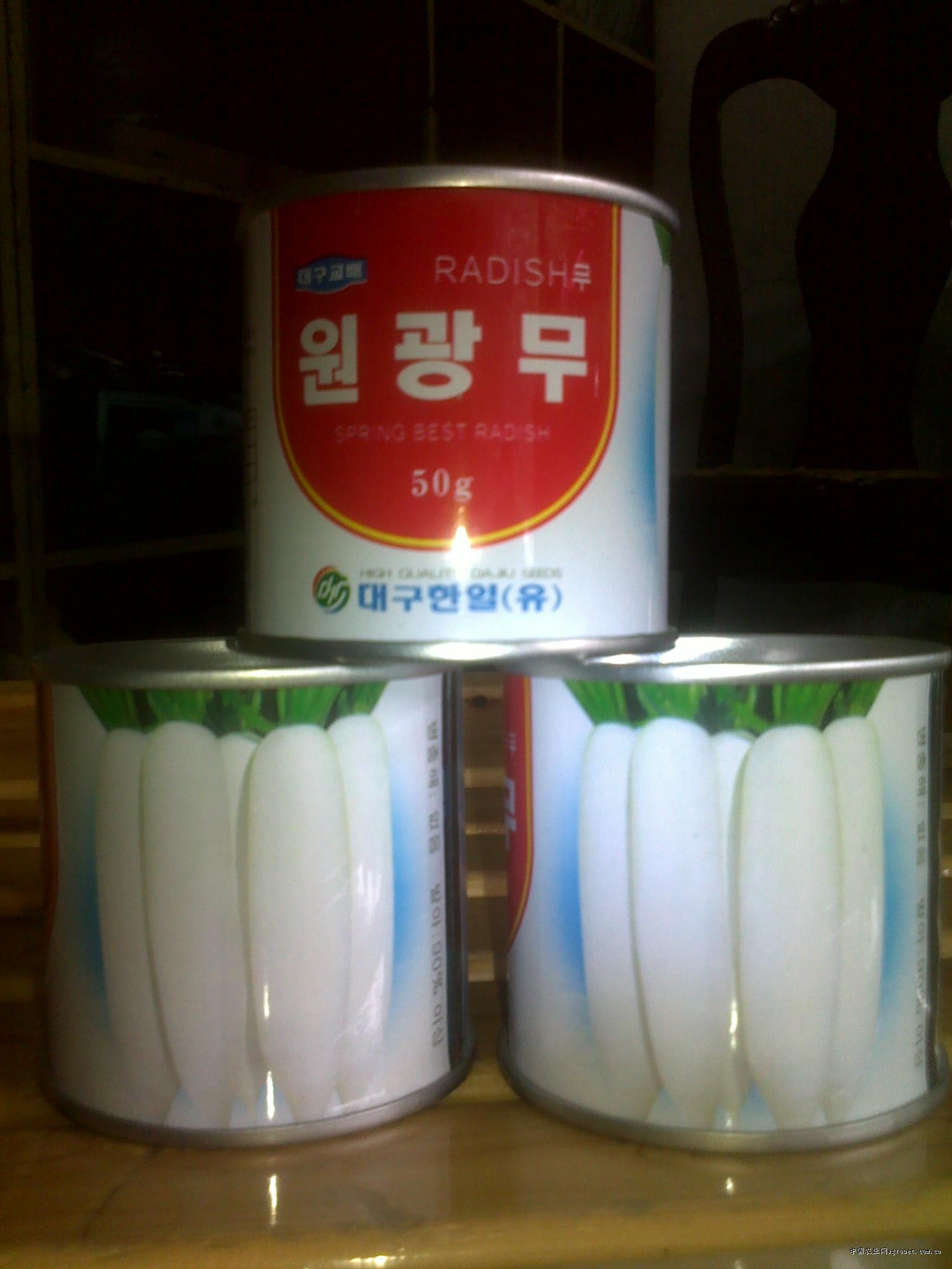 韩国萝卜种子