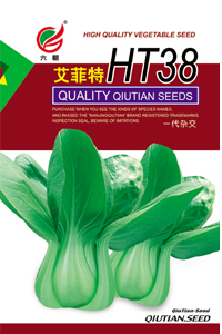 艾菲特HT38