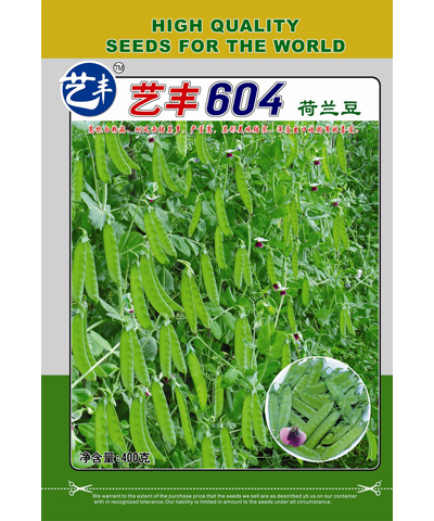 艺丰604荷兰豆