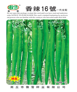 香辣16号