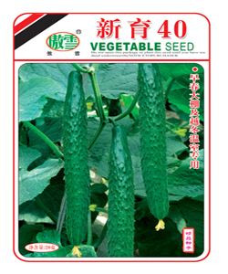 新育40