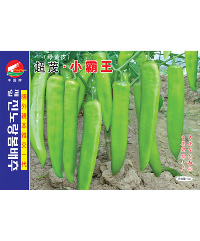 超茂小霸王