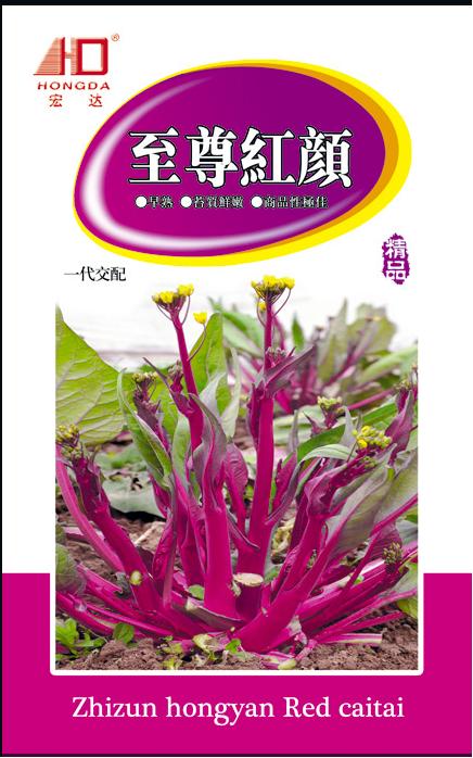 至尊红颜F1